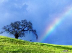 室內甲醛檢測值、大自然中的甲醛濃度、大城市