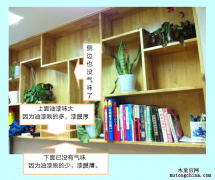 從一個室內(nèi)污染異味治理的實例說起（1）