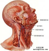 90后演員徐婷因新家甲醛超標患淋巴癌離世