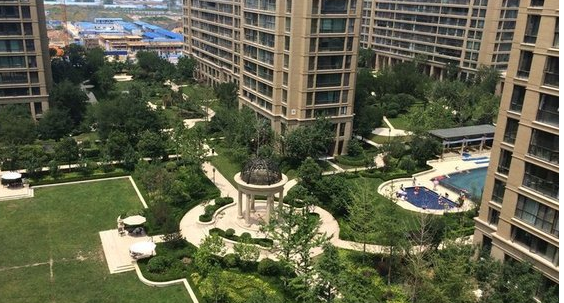 小區(qū)環(huán)境