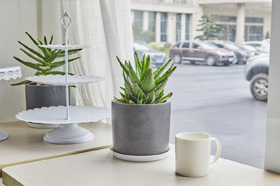 先別問除甲醛的方法，看一個真實案例